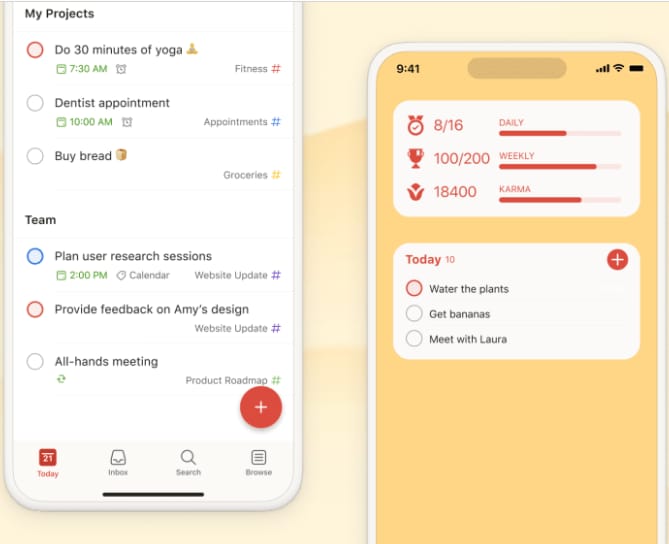 Todoist 스크린샷 두 장, 하나는 작업과 팀 프로젝트 리스트, 다른 하나는 일간, 주간, 카르마 진행과 '물 주기', 'Laura 만나기' 같은 작업이 보임