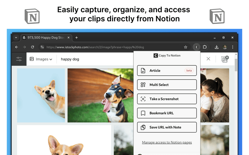 Copy to Notion Chrome extension popup showing multi-select clipping mode with highlighted text blocks and database selector